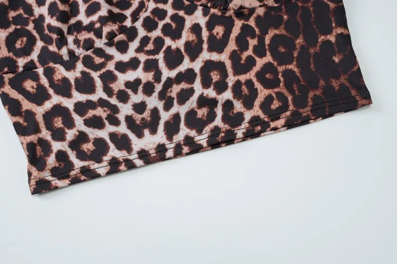 Leopard Print 2 Piece Set Deep V Halter Crop Top and Mini Skirts Matching Sets Sexy Club Outfits Woman