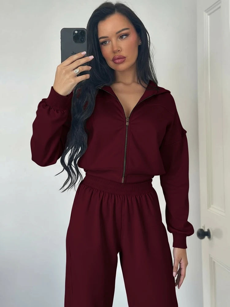 Sporty Tracksuit Women 2 Piece Set Panelled Stripes Simple Hooded Zip Jacket+Wide Pants Matching Casual Street Outfit