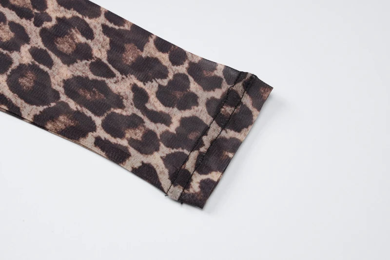 Leopard Print Mesh Long Sleeve Sexy Slim See Through Maxi Dress Summer Women Fashion Outfits Beach Vacation Club