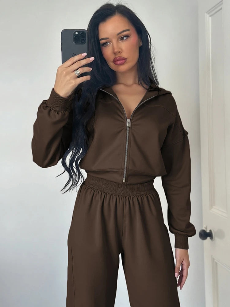 Sporty Tracksuit Women 2 Piece Set Panelled Stripes Simple Hooded Zip Jacket+Wide Pants Matching Casual Street Outfit