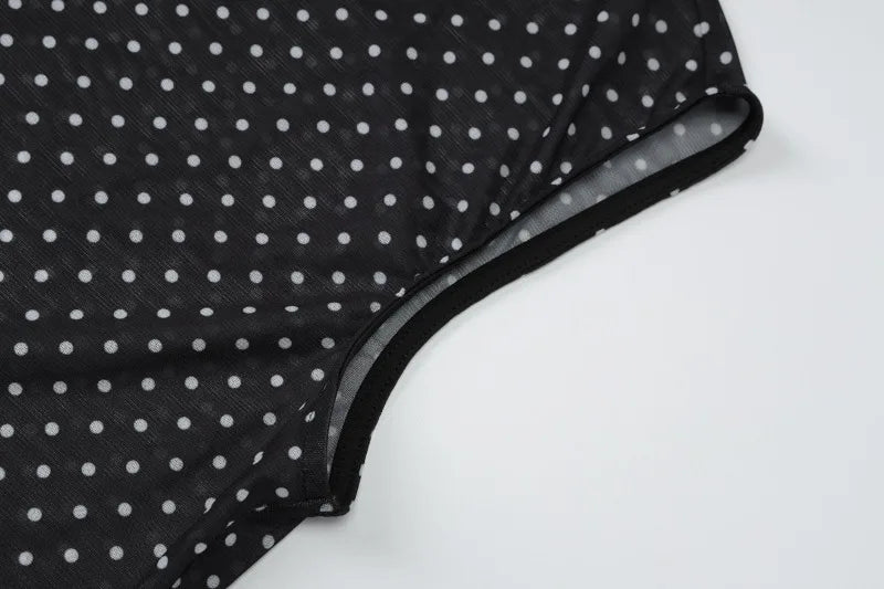 Elegant Two Piece Set for Woman Polka Dot Mesh Sheer Sleeveless Top Long Skirt Suit French Style Matching Sets