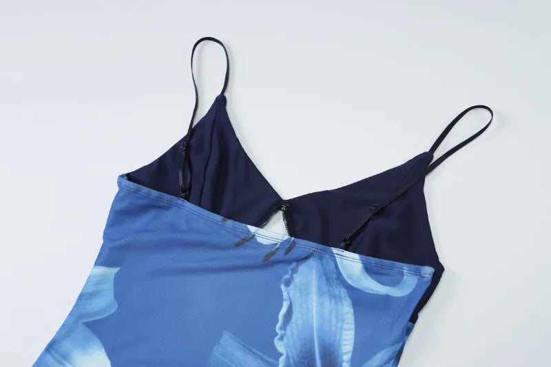 Blue Flower Mesh Elegant Summer Dresses Woman Resort Wear Sexy Spaghetti Strap V-neck Backless Long Dresses