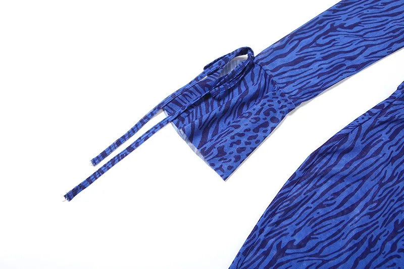 Leopard Print Mesh Sheer Blue Dresses Elegant Woman for Party Deep V Neck Long Sleeve Maxi Dress