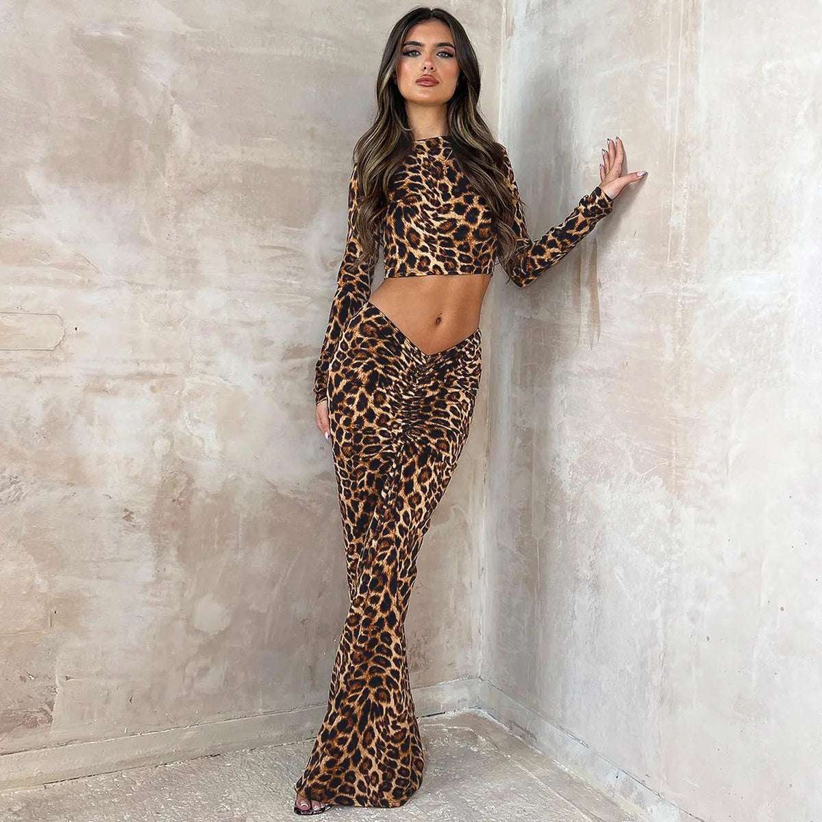 Leopard Print Long Sleeve 2 Piece Set Crop Top and Maxi Skirt Sets Elegant Sexy Clothes for Women Fall Outfit