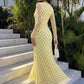Polka Dot Yellow Mesh Long Sleeve Maxi Dress Autumn 2026 Classy Dresses for Woman Elegant