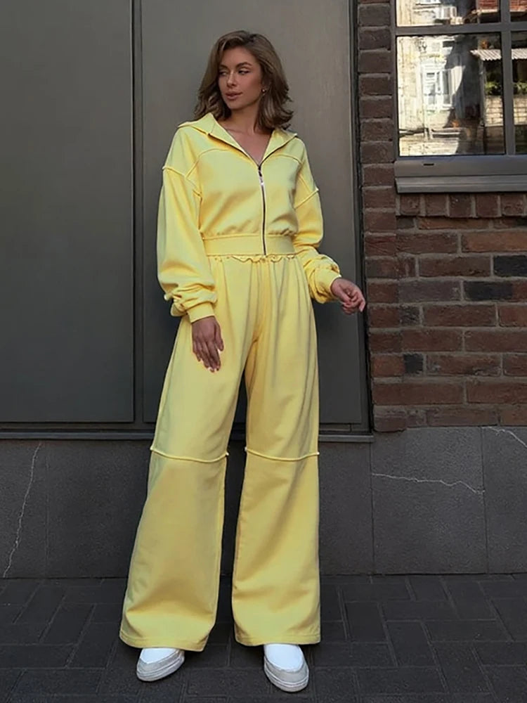 Sporty Tracksuit Women 2 Piece Set Panelled Stripes Simple Hooded Zip Jacket+Wide Pants Matching Casual Street Outfit