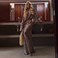 Vacation Outfits for Woman 2 Piece Sets Zebra Print Sheer Chiffon Long Sleeve Crop Top and Maxi Skirt Set