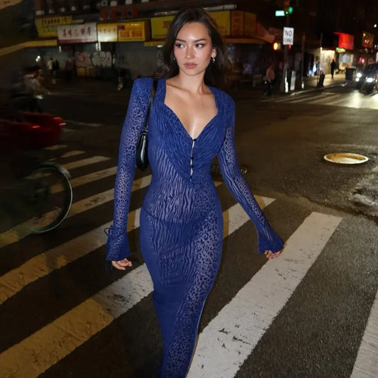 Leopard Print Mesh Sheer Blue Dresses Elegant Woman for Party Deep V Neck Long Sleeve Maxi Dress