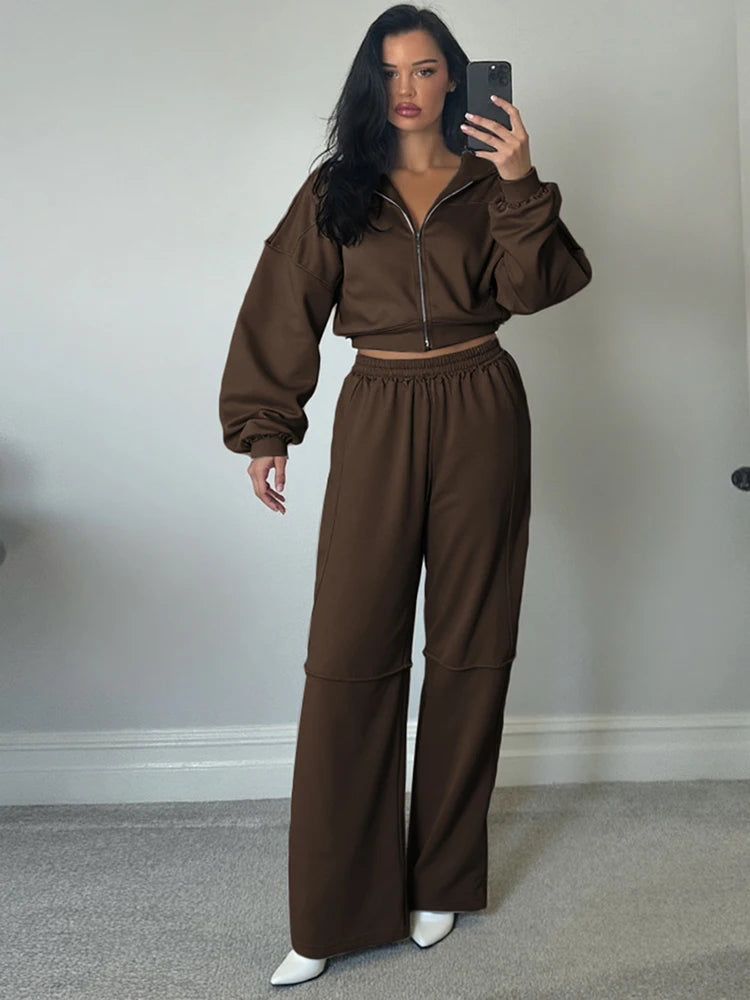 Sporty Tracksuit Women 2 Piece Set Panelled Stripes Simple Hooded Zip Jacket+Wide Pants Matching Casual Street Outfit