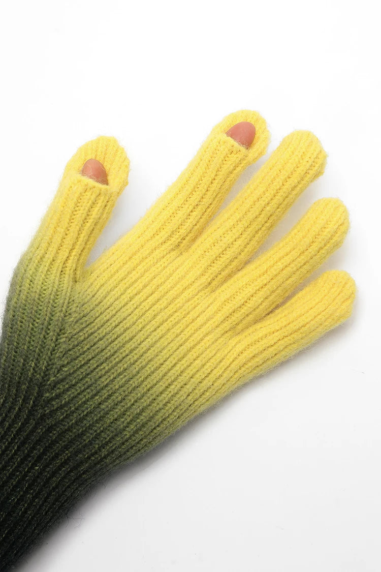 2025 Winter New Arrivals Gradient-colored Rubber-coated Casual Gloves For Woman