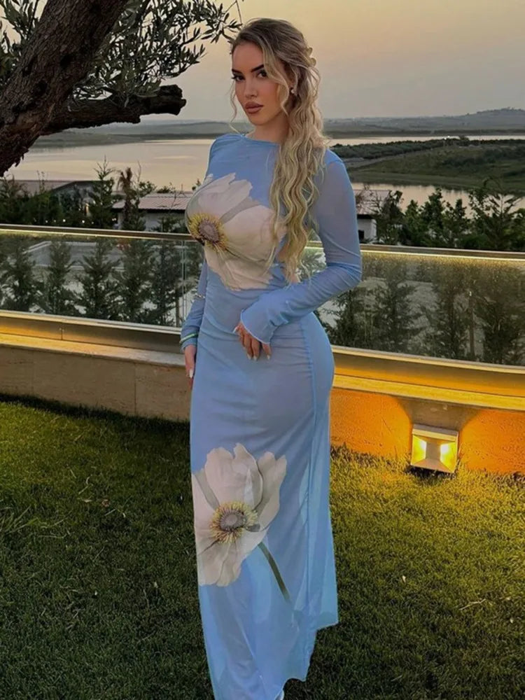 Mesh See Through Sexy Print Maxi Dress Women Summer Fashion Long Sleeve Lace-up Backless Beach Club Party Long Dress