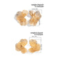 Creative Chic Petal Flower Stud Earrings for Women Trendy Wed Bridal Gold Color Piercing Earring Daily Jewelry Gifts