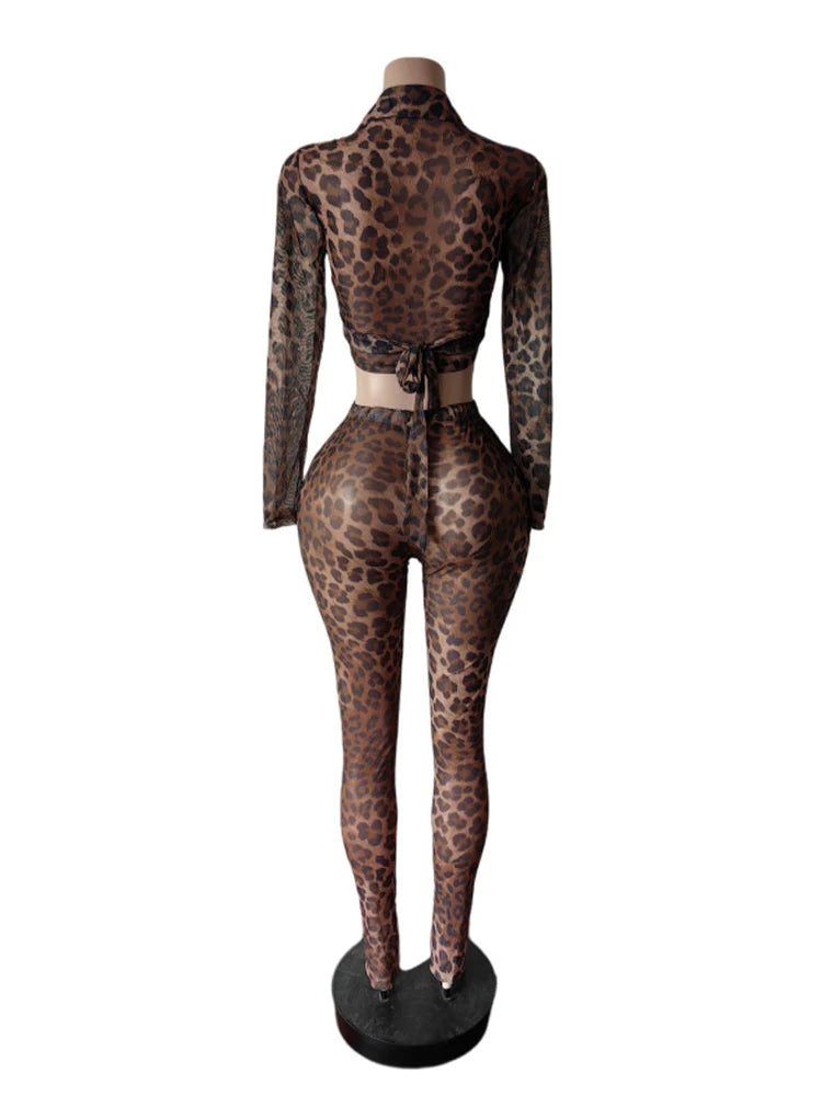 Sexy Wild See Through 2 Piece Set Women Leopard Print Bandage Crop Top+Leggings Matching Midnight Party Clubwear Outfits