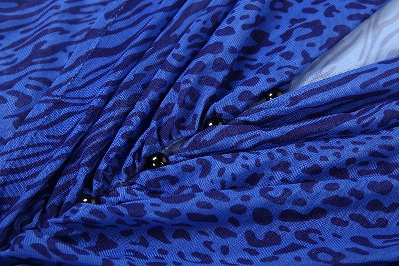Leopard Print Mesh Sheer Blue Dresses Elegant Woman for Party Deep V Neck Long Sleeve Maxi Dress