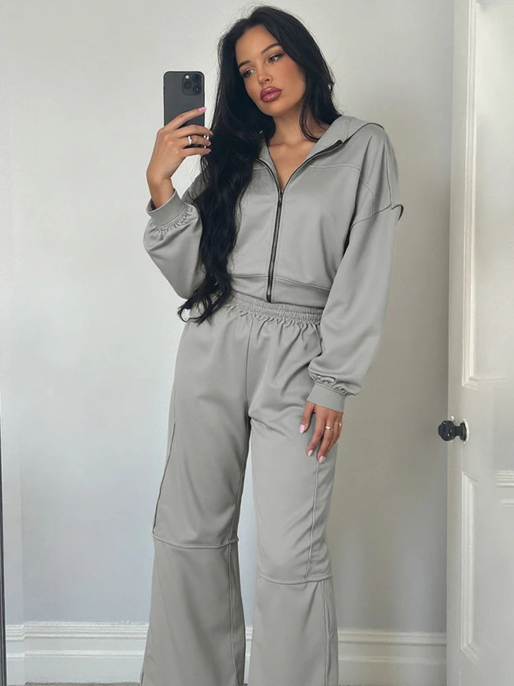 Sporty Tracksuit Women 2 Piece Set Panelled Stripes Simple Hooded Zip Jacket+Wide Pants Matching Casual Street Outfit