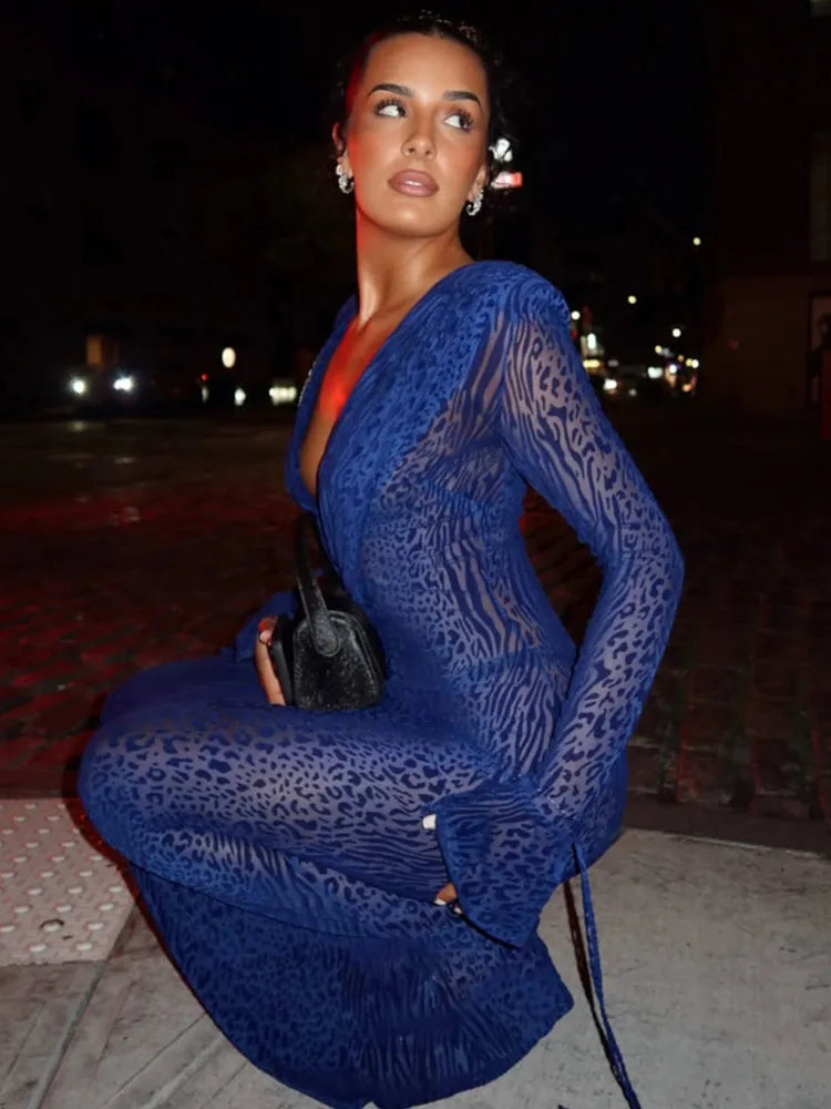 Deep V Neck Long Sleeve Sexy Maxi Dress Women Gown Elegant Leopard Print Mesh See Through Club Party Long Dresses