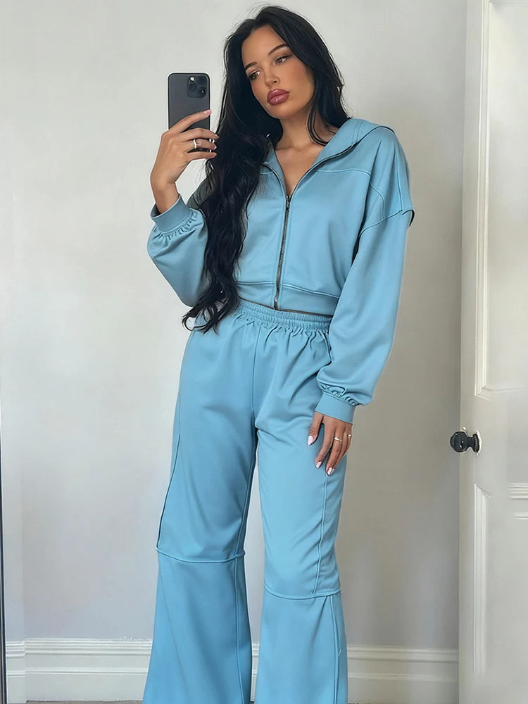 Sporty Tracksuit Women 2 Piece Set Panelled Stripes Simple Hooded Zip Jacket+Wide Pants Matching Casual Street Outfit