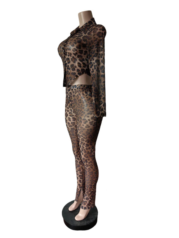 Sexy Wild See Through 2 Piece Set Women Leopard Print Bandage Crop Top+Leggings Matching Midnight Party Clubwear Outfits