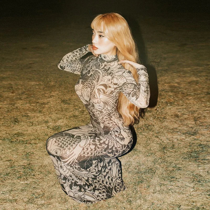 Vintage Printed Mesh Dress See Through Long Sleeve Maxi Dresses for Women Streetwear Y2k Clothing