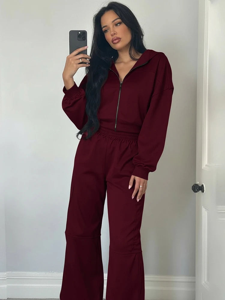 Sporty Tracksuit Women 2 Piece Set Panelled Stripes Simple Hooded Zip Jacket+Wide Pants Matching Casual Street Outfit